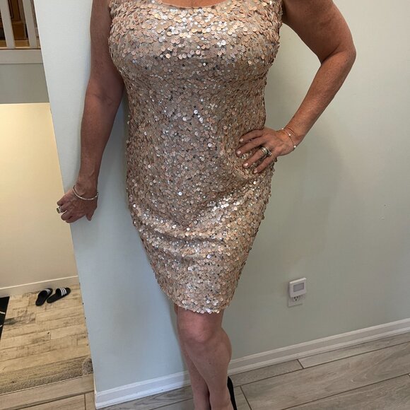 champagne Sequin Dress - Picture 2 of 5